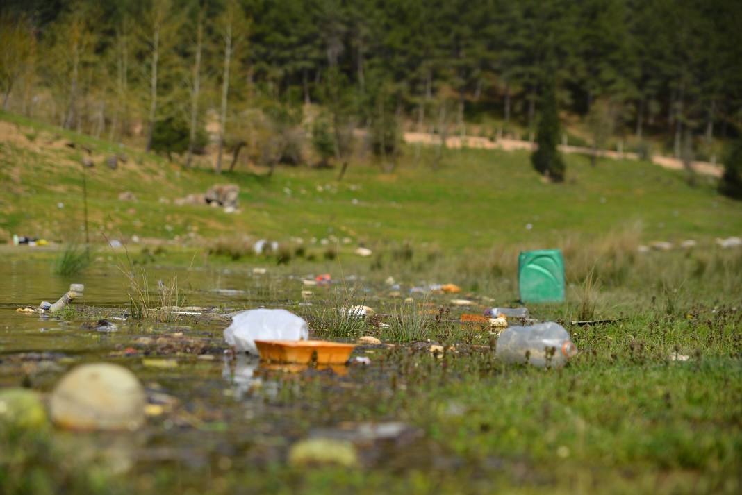 Demirtaş Barajı’nın kıyısı, piknikçilerin bıraktığı atıklarla çöplüğe döndü: Hayvanlar atıklardan zehirleniyor 1